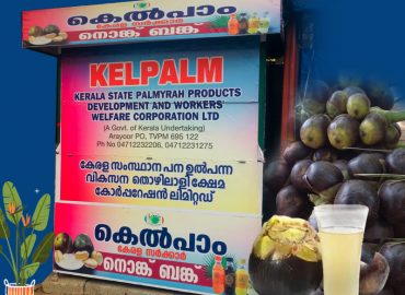 Kelpalm Marketing Center opened