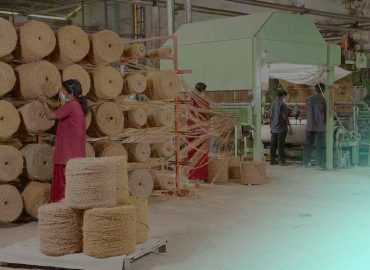 Income Support Scheme: Additional Rs 24.83 crore allocated to coir and khadi workers