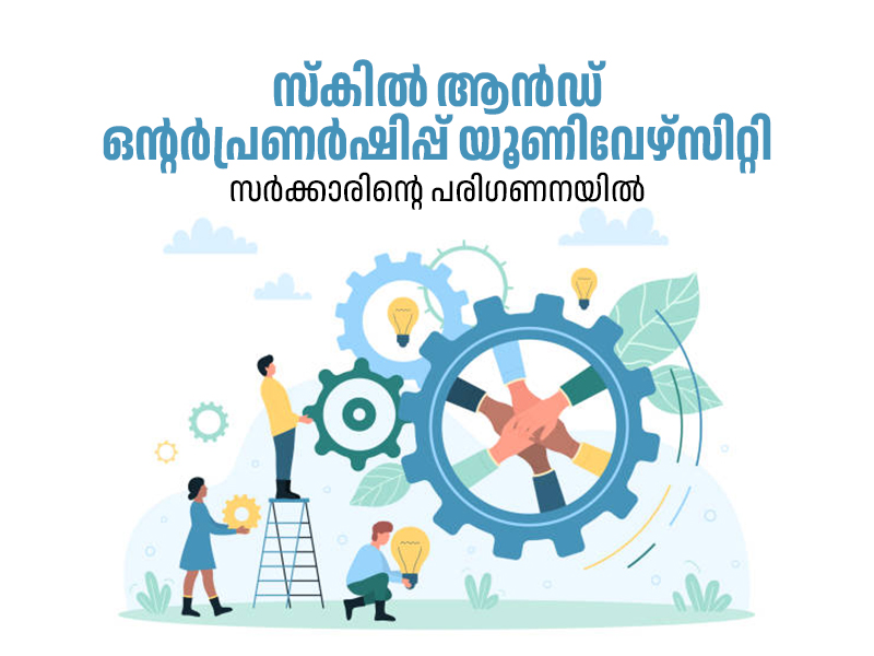 Skill and Entrepreneurship University under government consideration